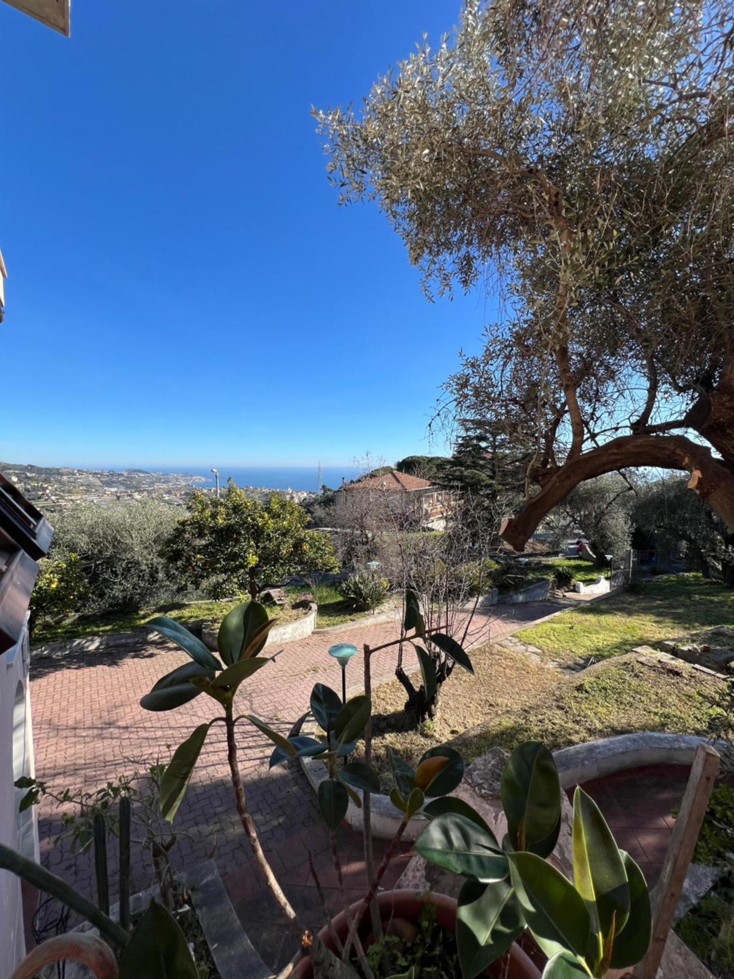 Villa In Collina Vista Mare Sanremo Exteriér fotografie