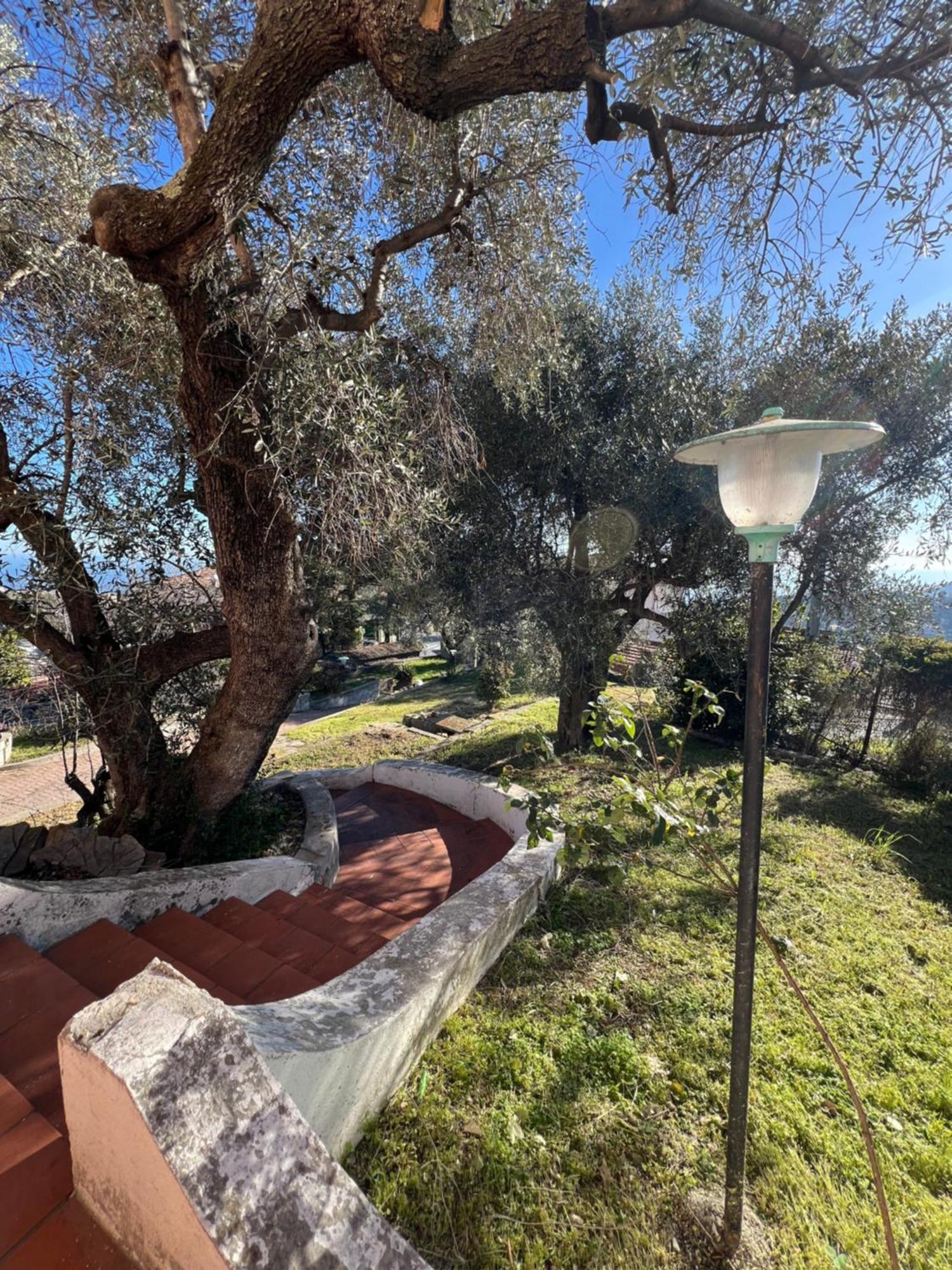 Villa In Collina Vista Mare Sanremo Exteriér fotografie