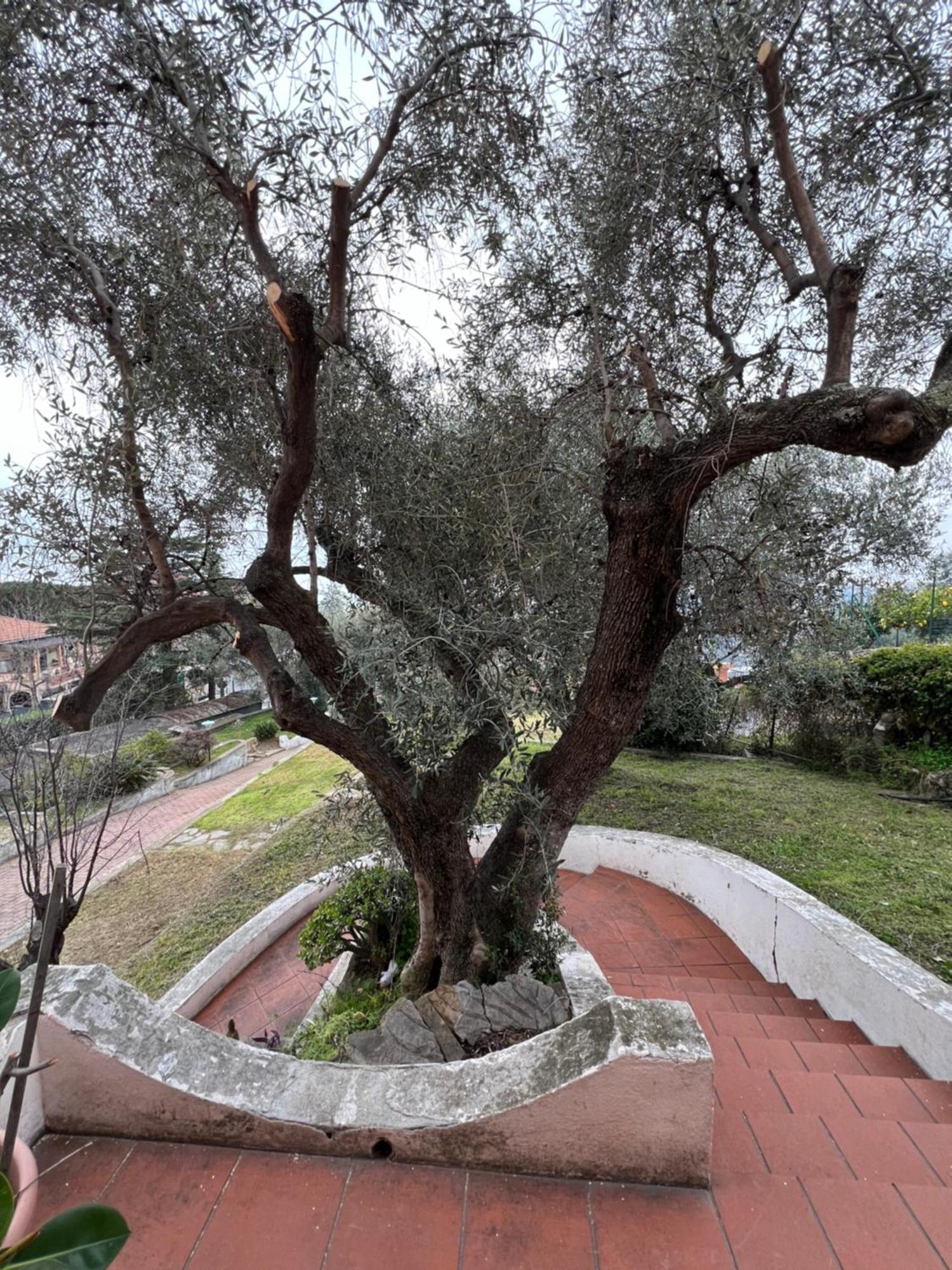 Villa In Collina Vista Mare Sanremo Exteriér fotografie